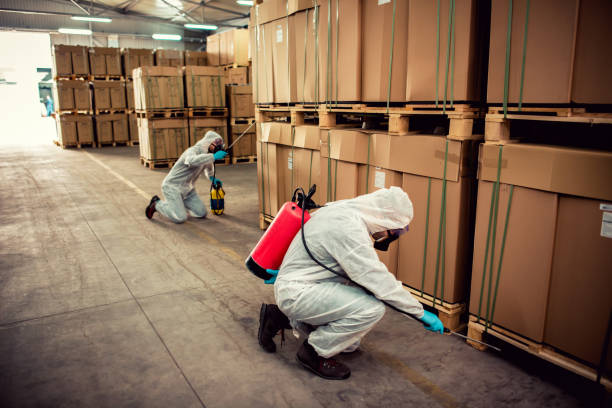 Best Pest Removal Services  in Palm Springs, CA