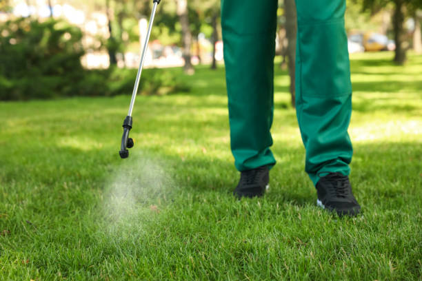 Best Residential Pest Control  in Palm Springs, CA