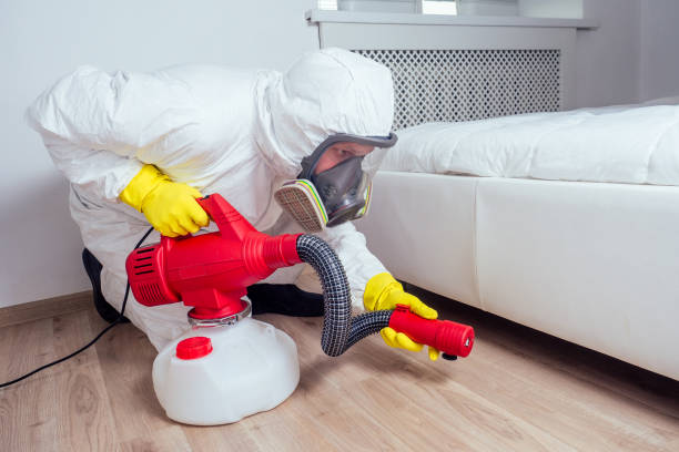 Best Pest Prevention Services  in Palm Springs, CA