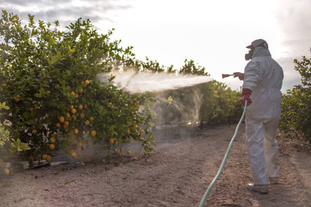 Best Mosquito Control Services  in Palm Springs, CA