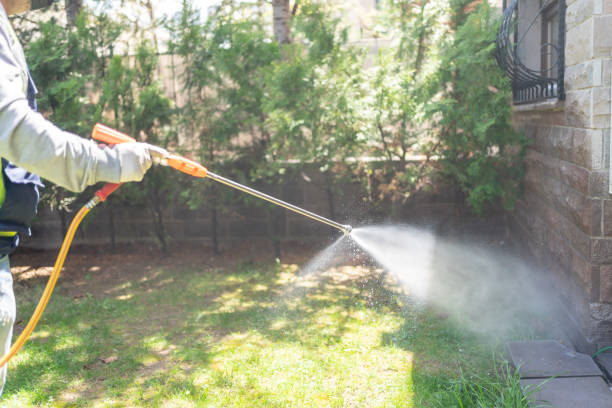 Best Local Pest Control Services  in Palm Springs, CA