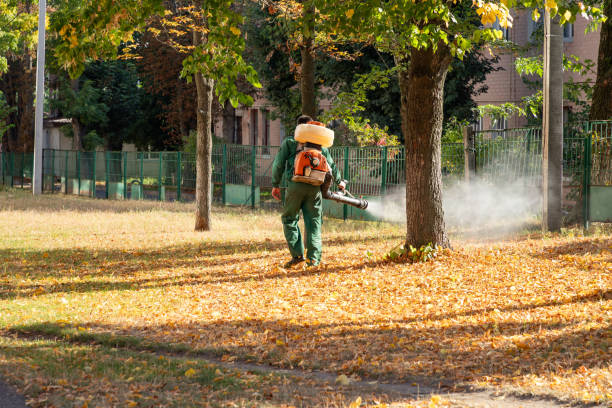 Best Pest Control Near Me  in Palm Springs, CA