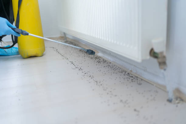 Best Exterminator Services  in Palm Springs, CA